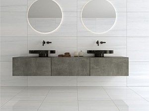 Elysium Tile - AN Dolomite Polished 24x48